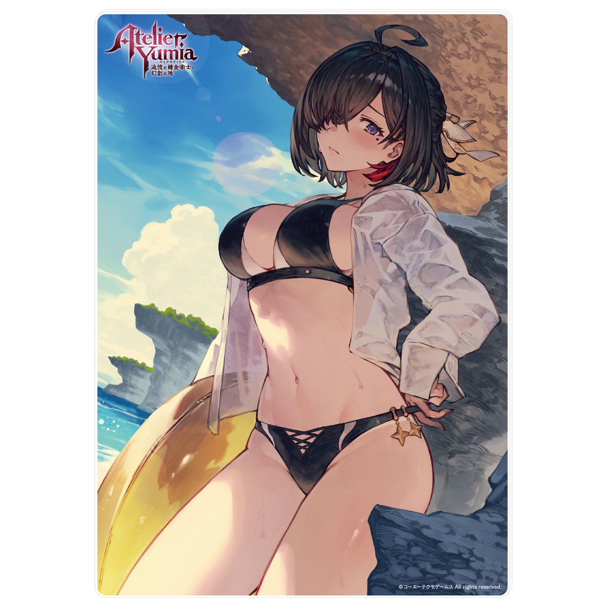 B5アクリルプレート 価格:各 5,000円