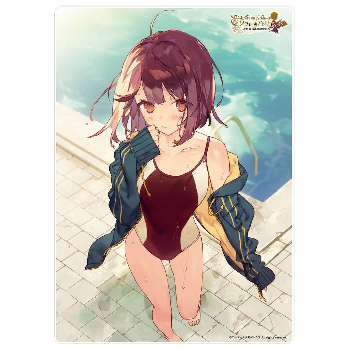 B5アクリルプレート 価格:各 5,000円