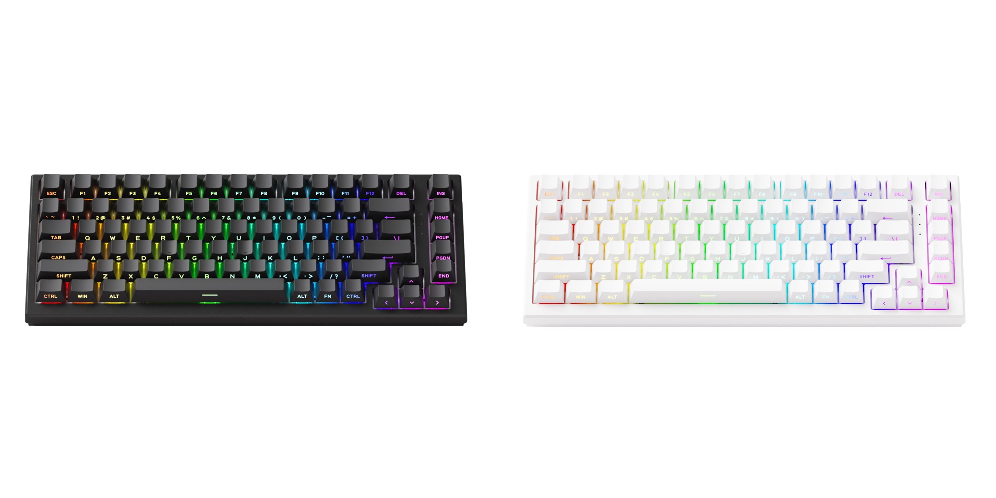 カラーはブラックとホワイトの2種