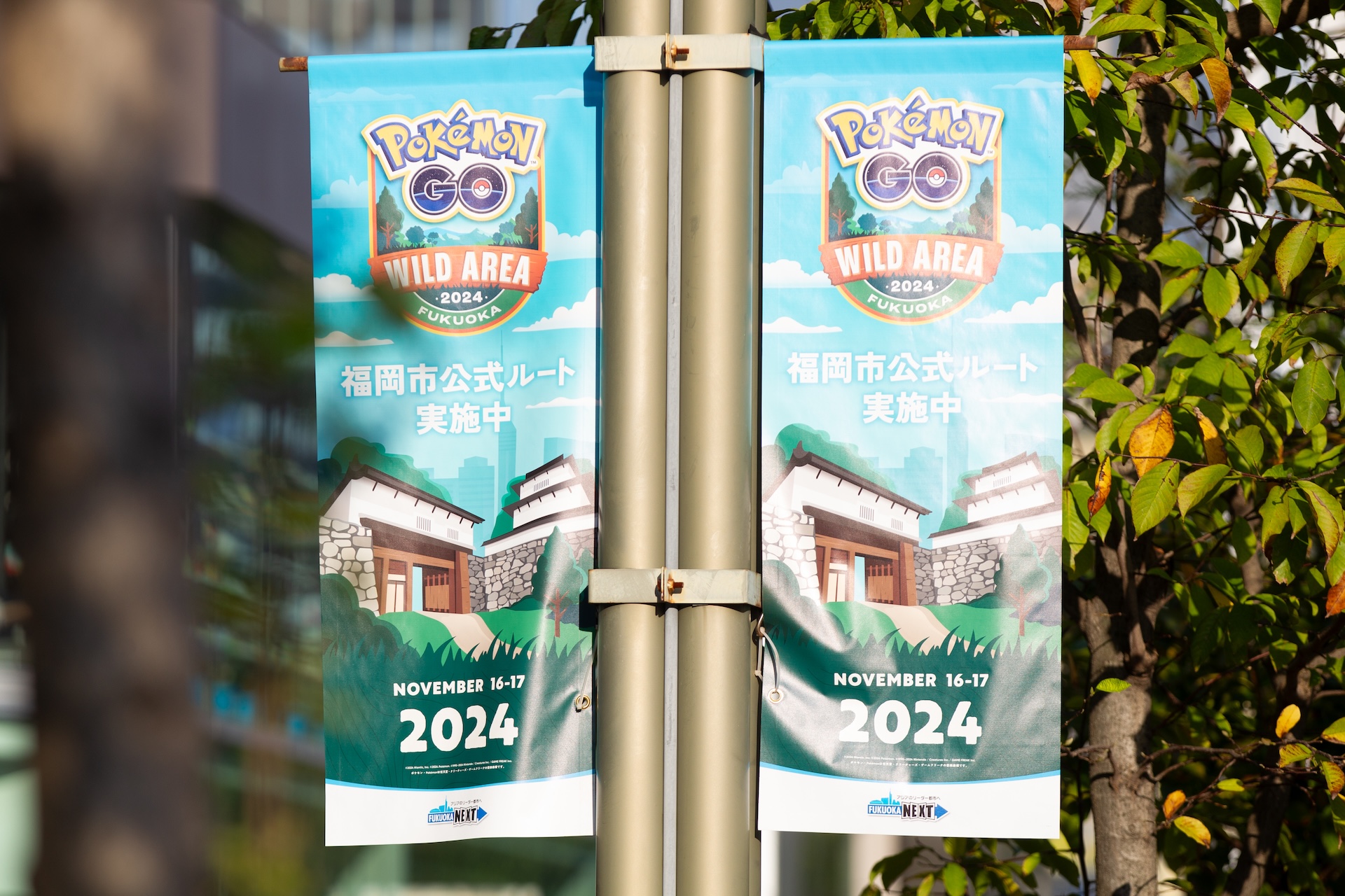 2024年11月「Pokemon GO」初の九州開催イベントとなった「Pokemon GO ワイルドエリア：福岡」の様子