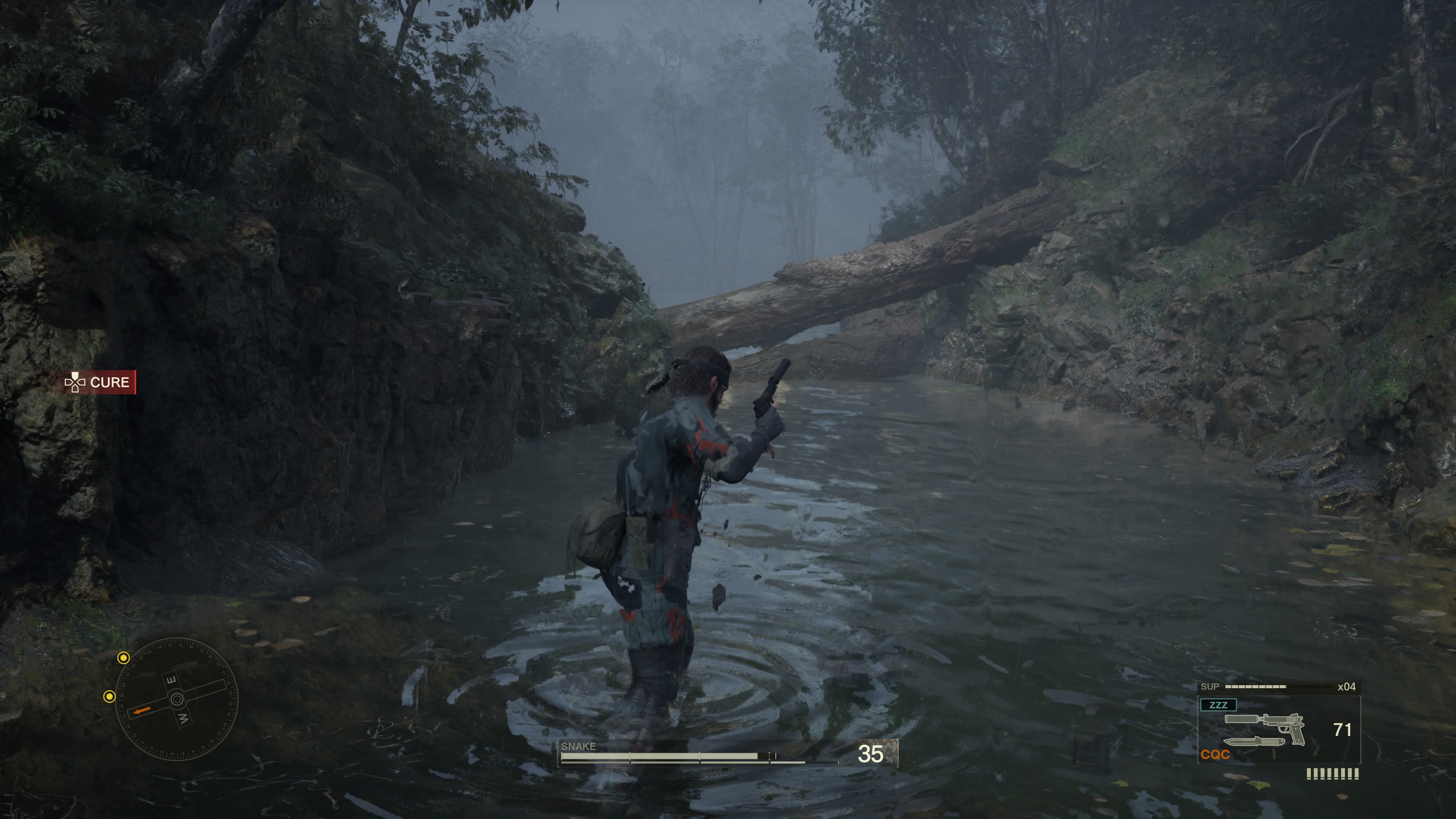 マップ北西の木を潜って進み