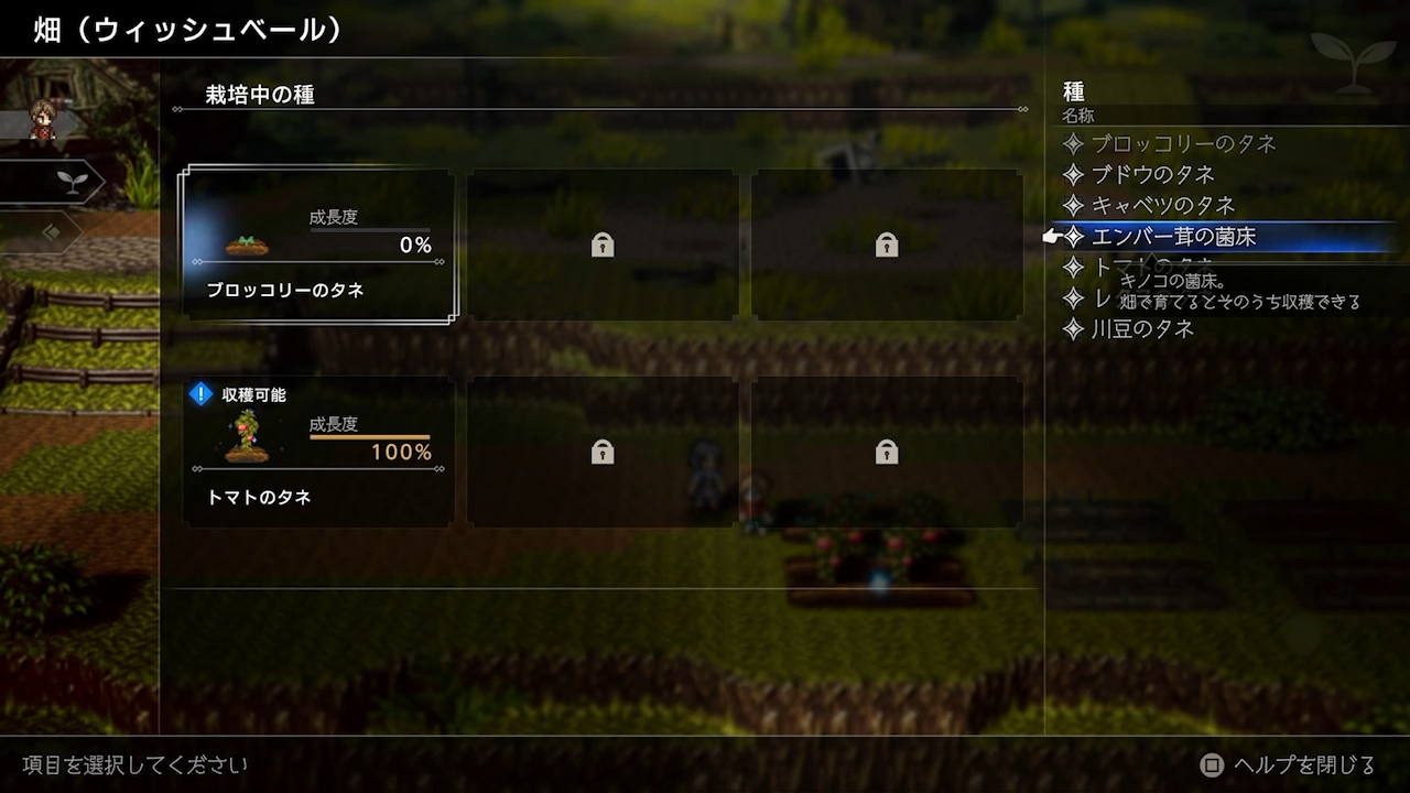 料理を作るには材料が必要となるが、それもタウンビルドで畑や牧場を作ったりすることで解決できる。こうして回収した野菜や果物が、料理に化けることに