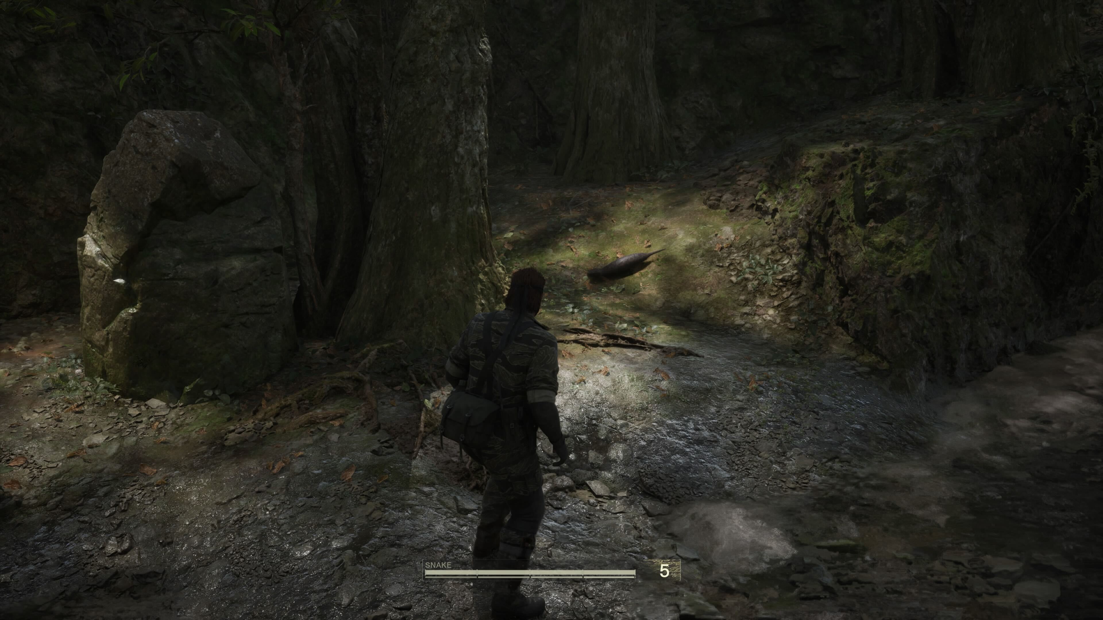 洞窟を出てすぐ、木の下に出現する