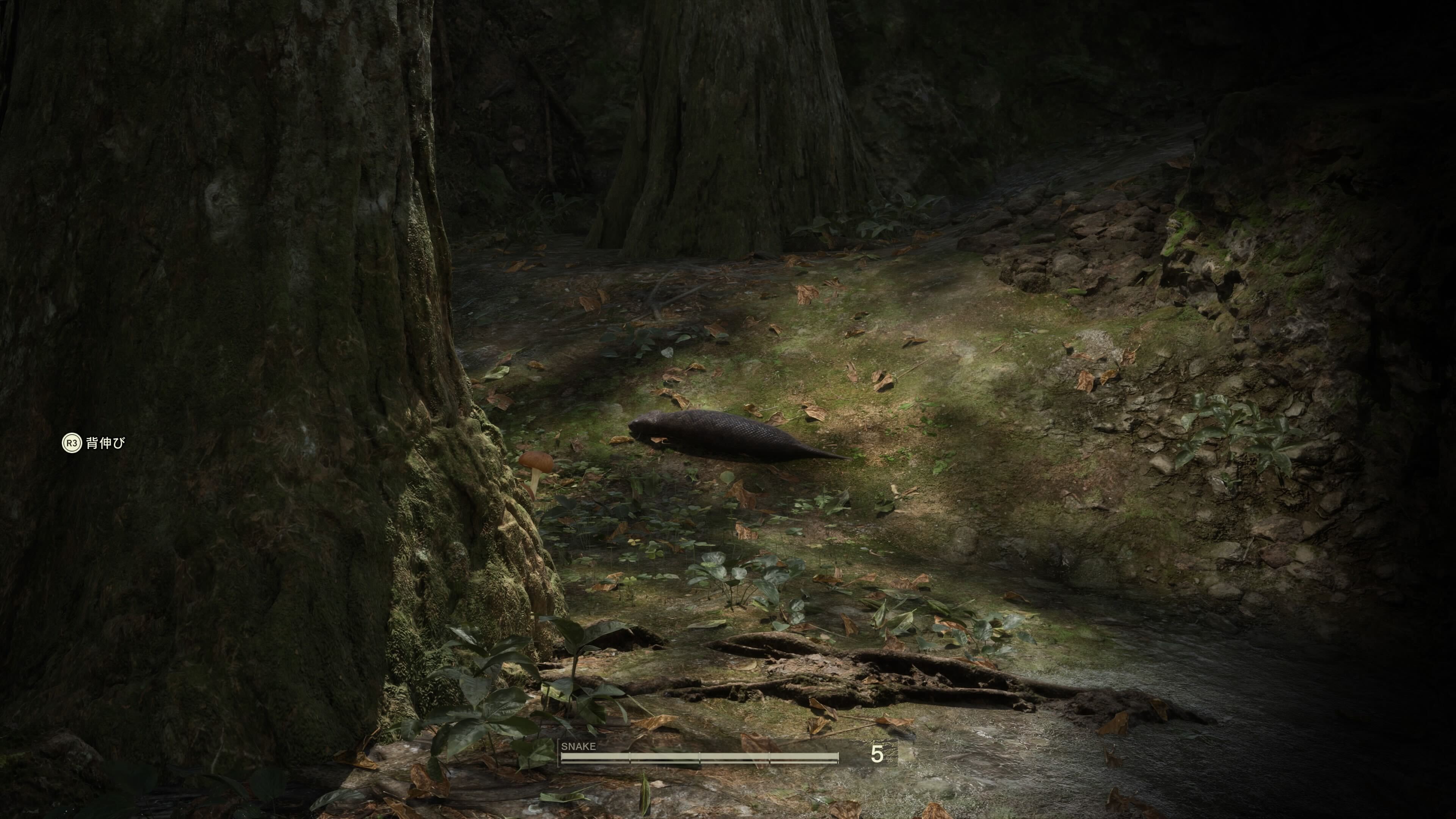 洞窟を出てすぐ、木の下に出現する