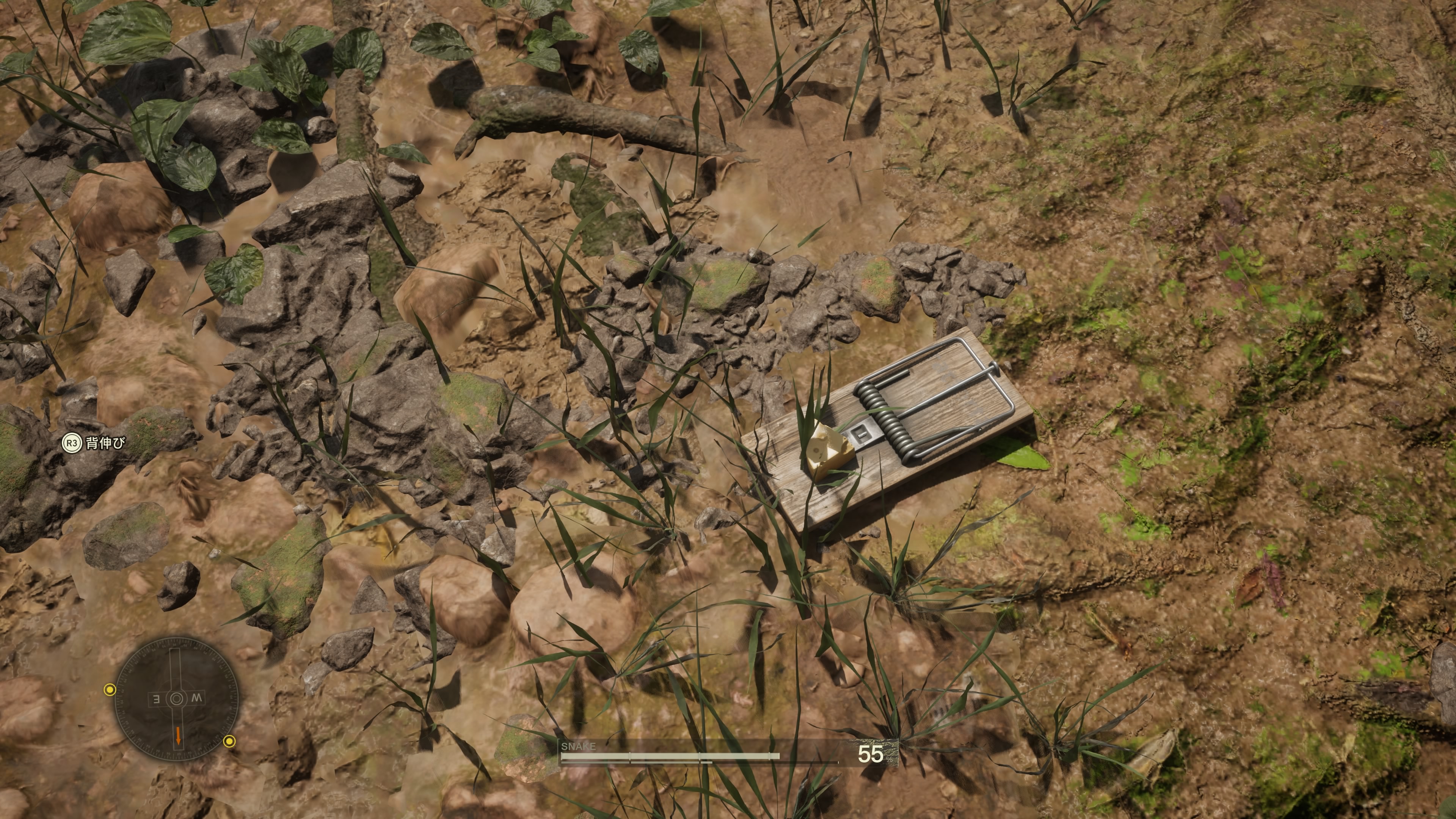 ネズミ捕りを地面に設置し、マップを移動