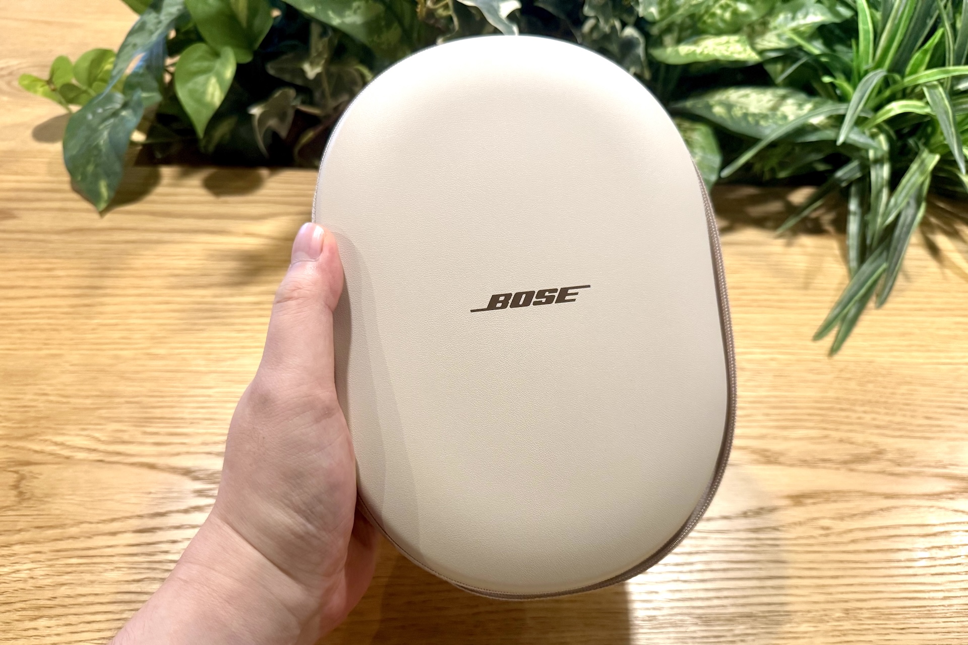 丸みを帯びたキャリングケース。シンプルながら高級感ある仕様だ