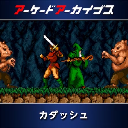 アーケードアーカイブス カダッシュ 価格：837円 → 585円（30%OFF）