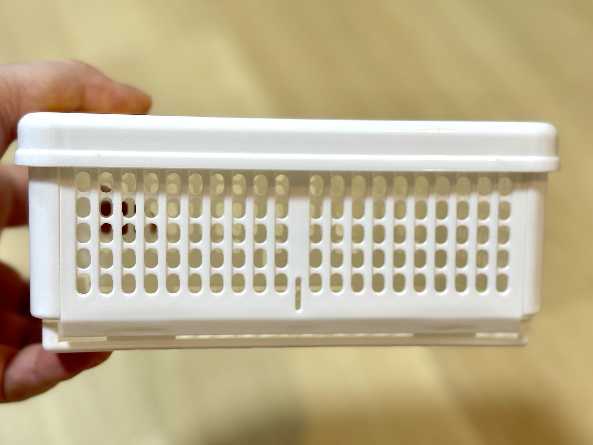 横から見たサイズ感