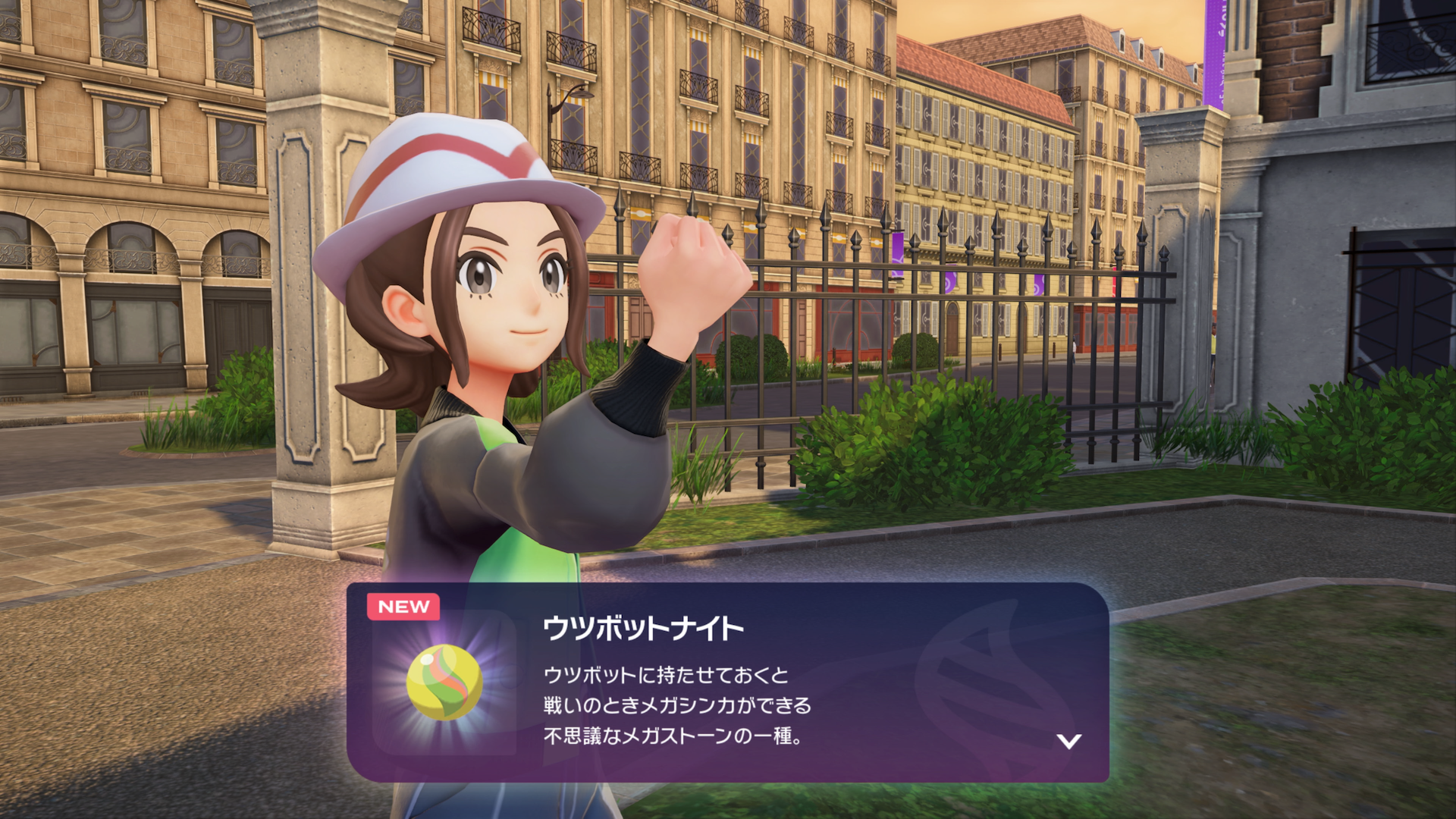 暴走メガシンカポケモンを倒す事で、そのポケモンを「メガシンカ」させる道具を入手できる