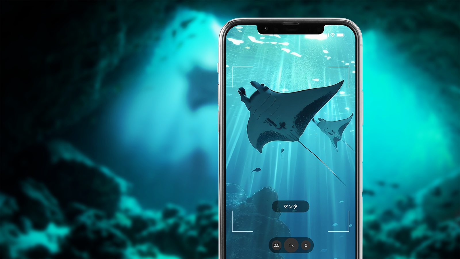「ワンダリアアプリ」イメージ