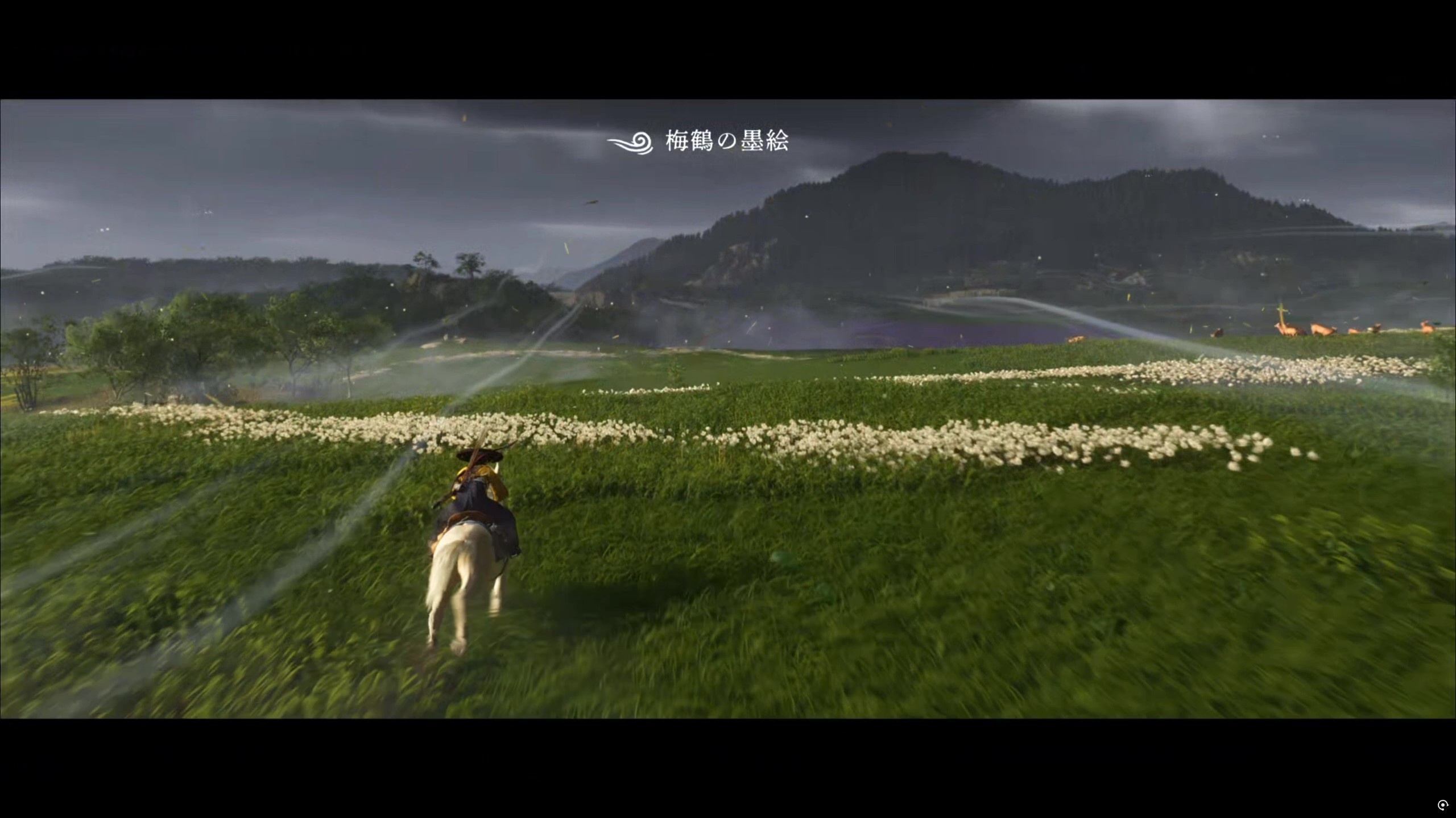 馬に乗り、風を浴びながら広大な草原を駆ける