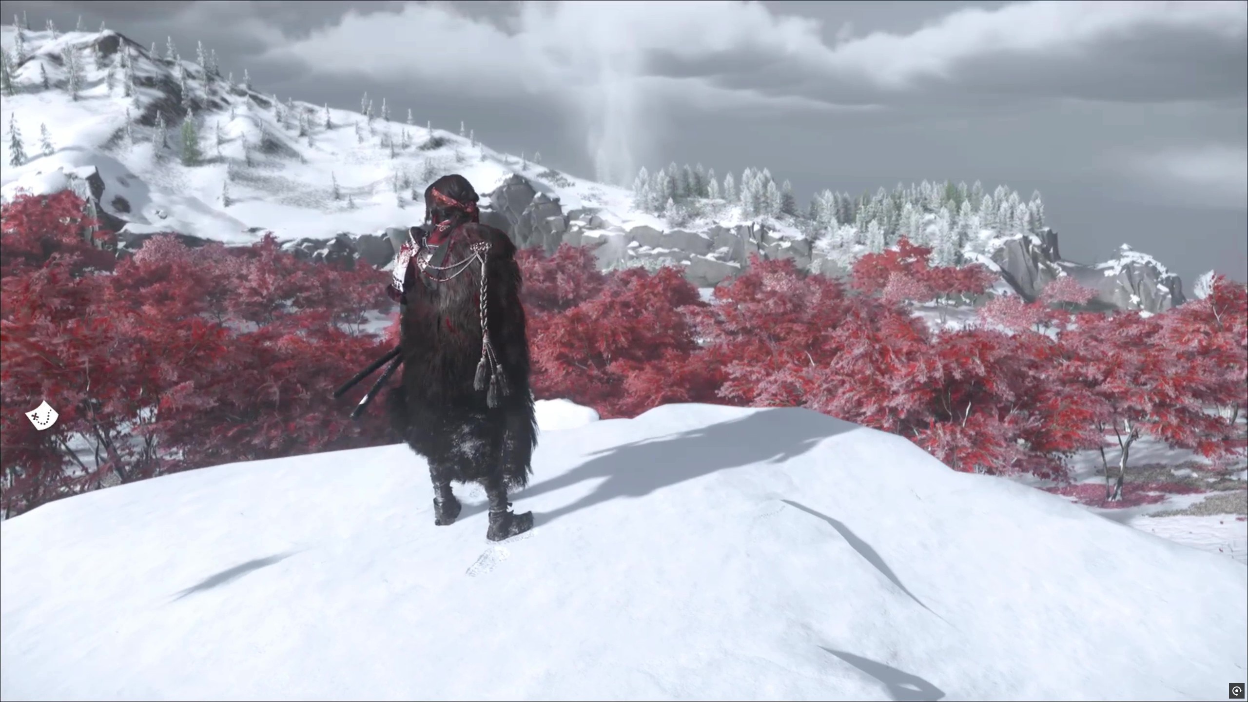 雪に覆われたエリア