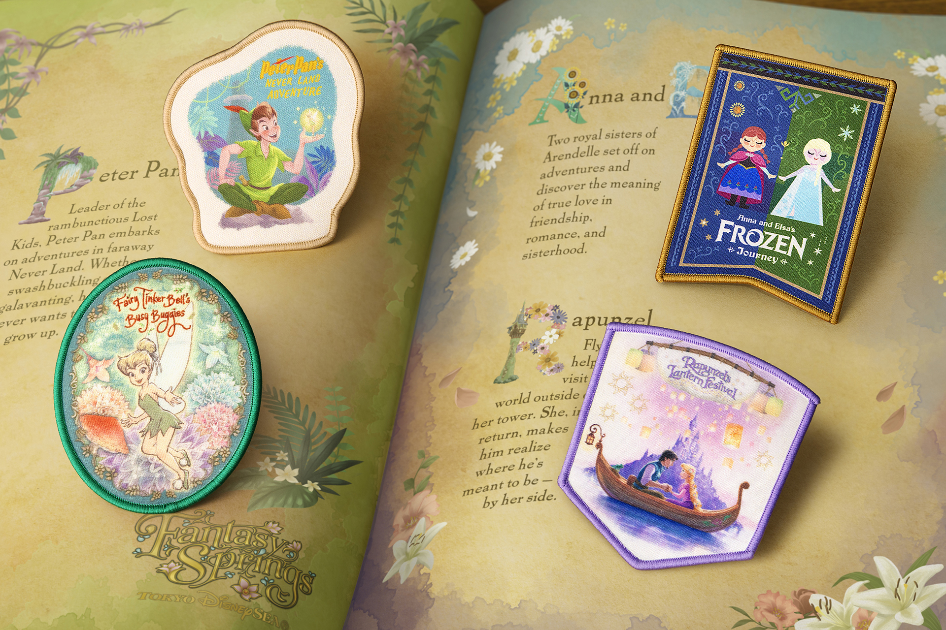 イメージカット