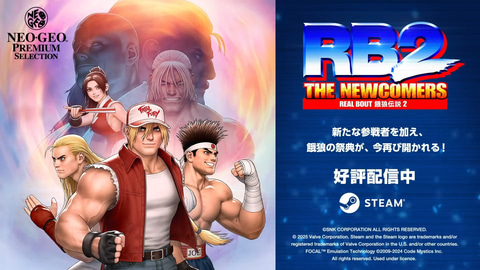 笑う犬6217　アーケードゲーム　リアルバウト餓狼伝説２　MVSソフト 笑う犬6217様専用 アーケードゲーム リアルバウト餓狼伝説2 MVS