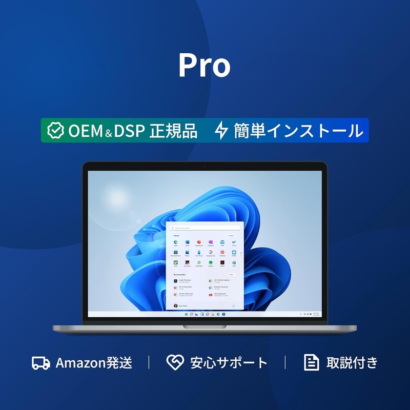 Windows11向け DSPライセンス日本語 (Pro取説付)