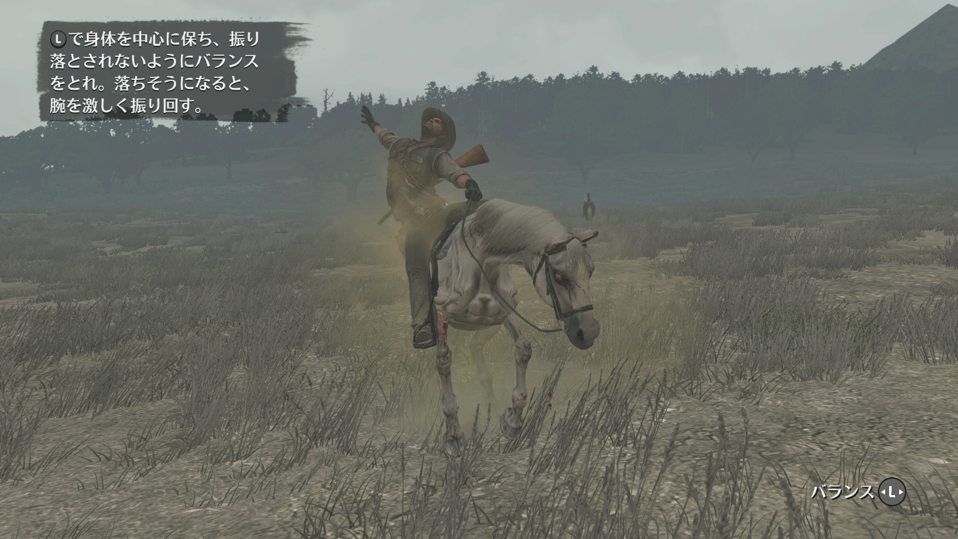 黙示録の馬は4種類いて、異なる能力を持っている。慣らせば普通の馬と同様に扱える画像の「悪疫」は耐久力が高くほぼ死なない