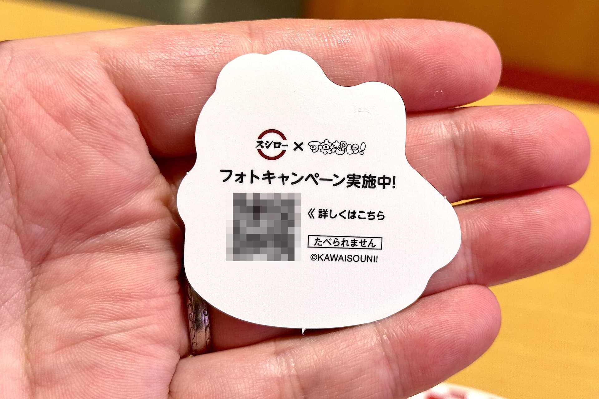 ピックの裏にはキャンペーンに応募できるコードが記載