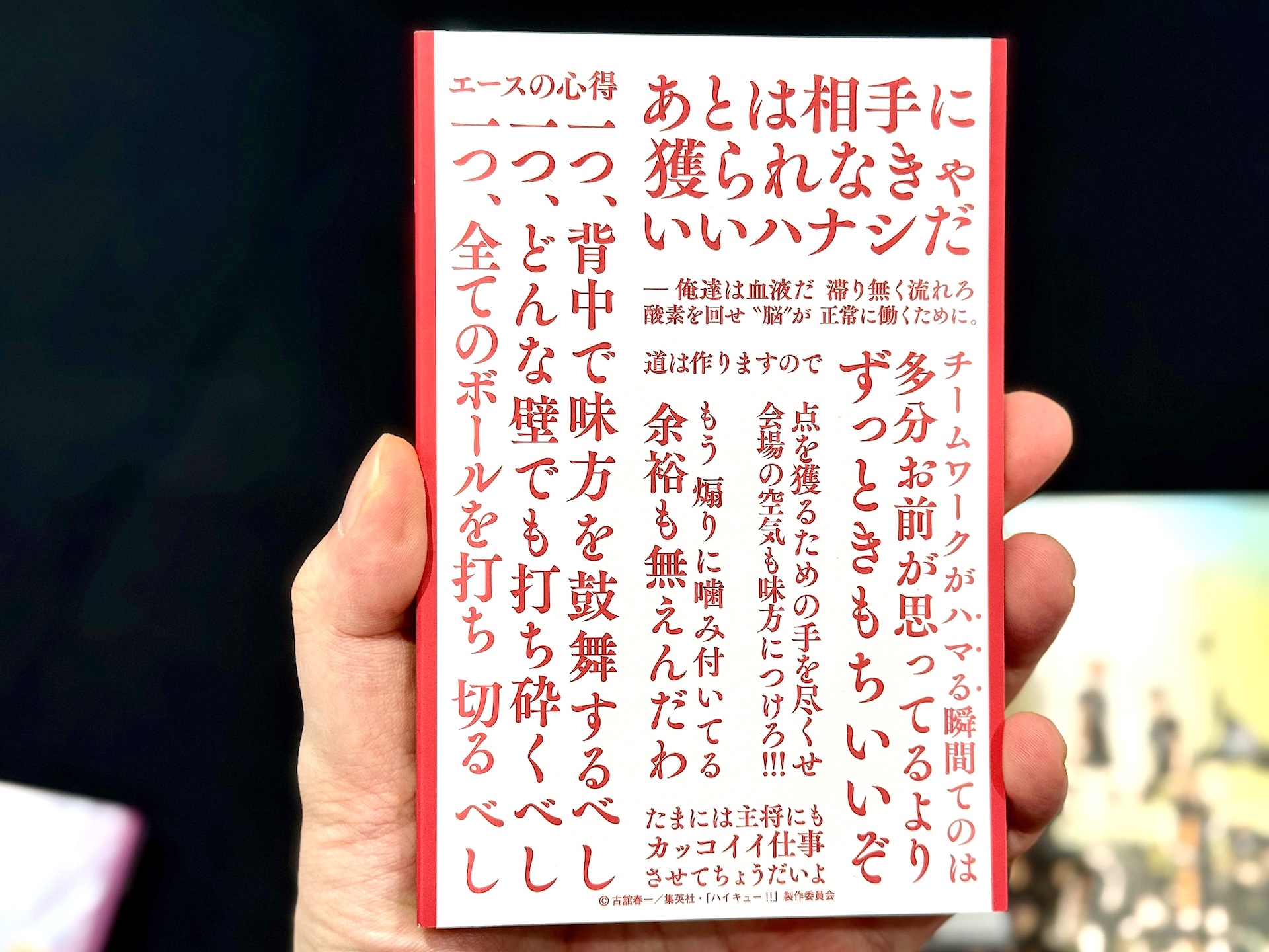表紙にはこれまでの作品ビジュアルを使用