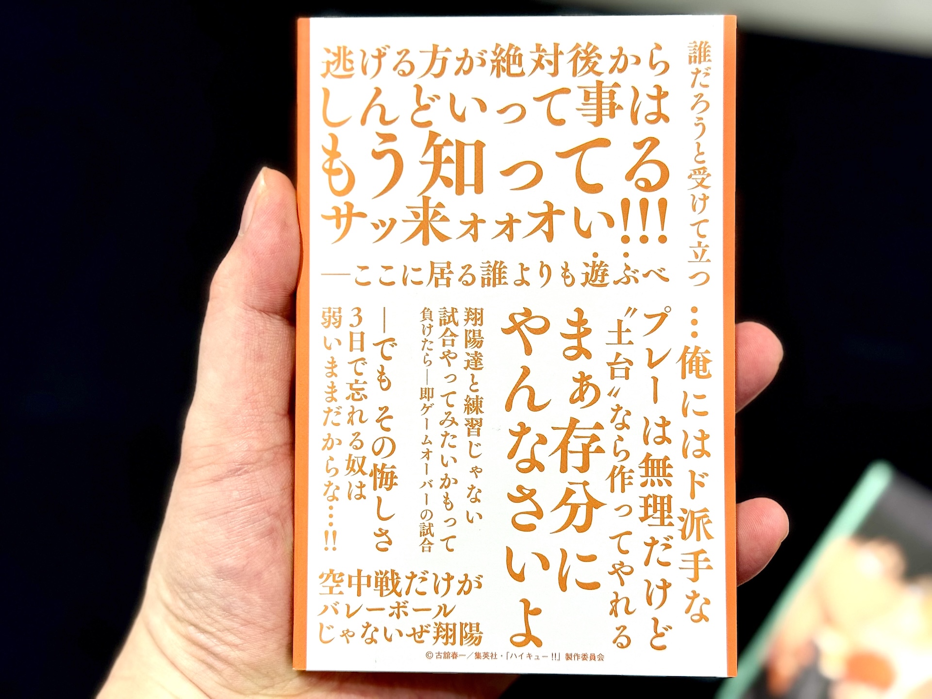 表紙にはこれまでの作品ビジュアルを使用