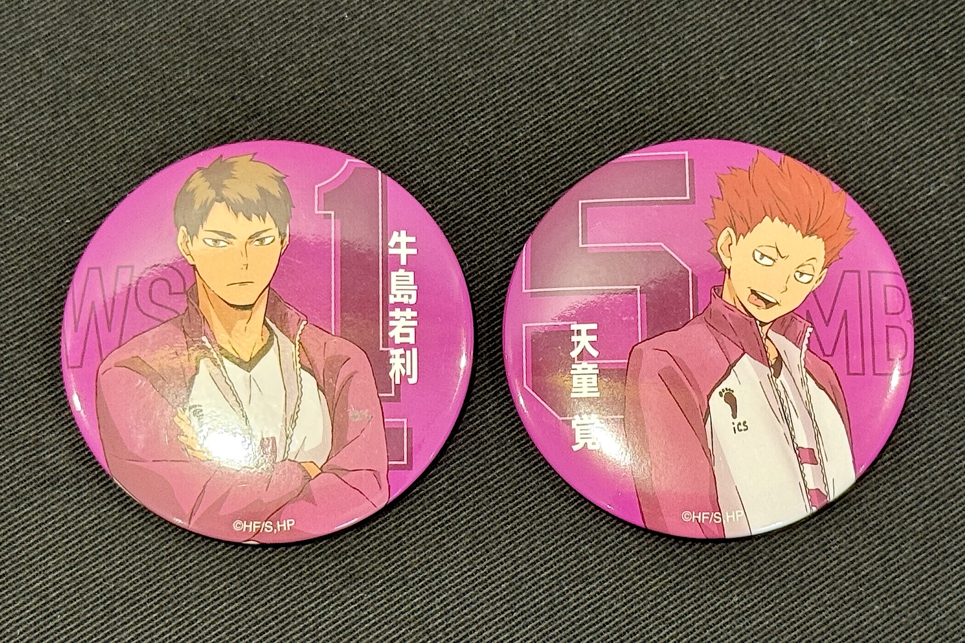 白鳥沢学園高校