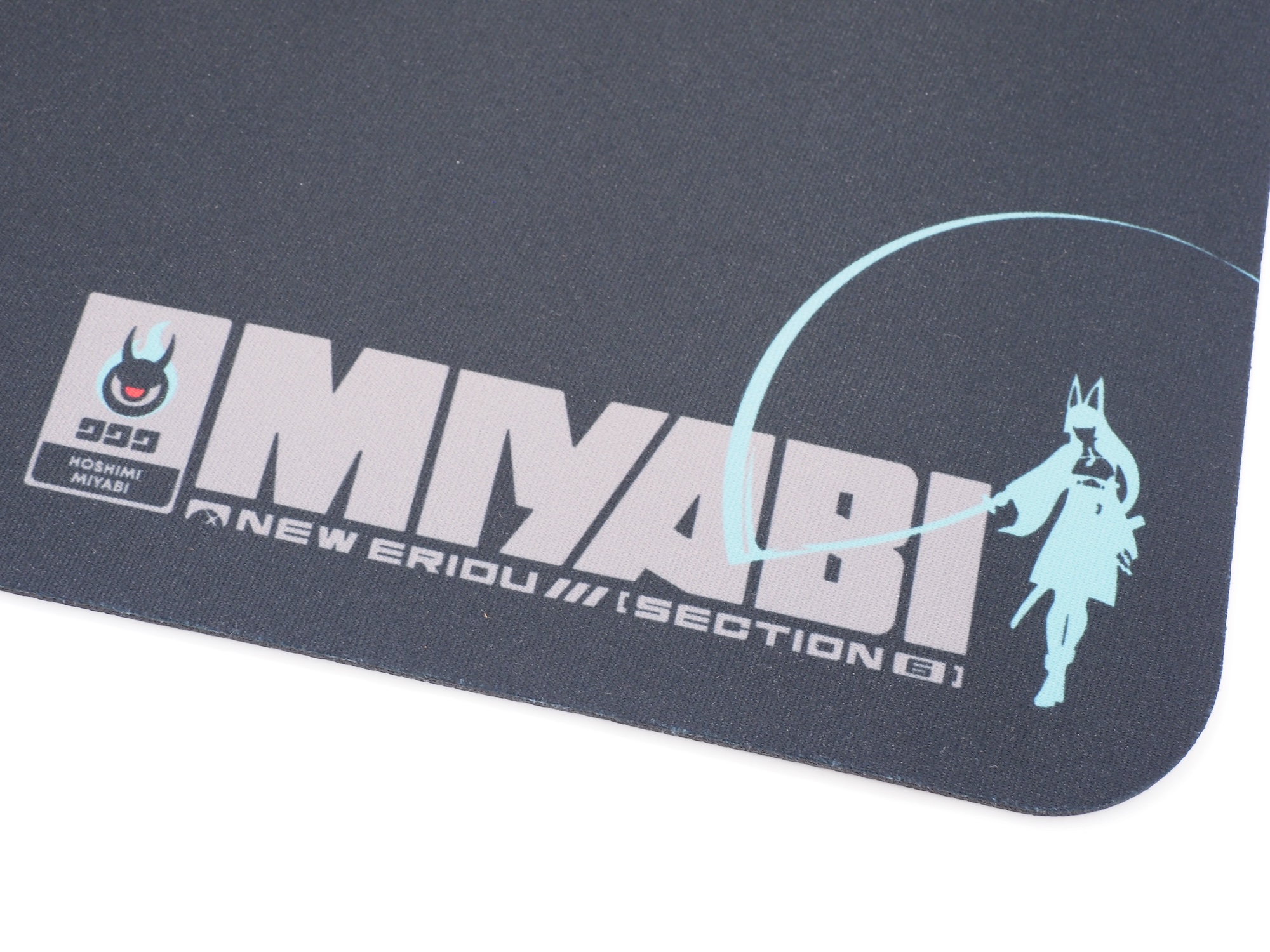 剣を振るう星見雅のシルエットも