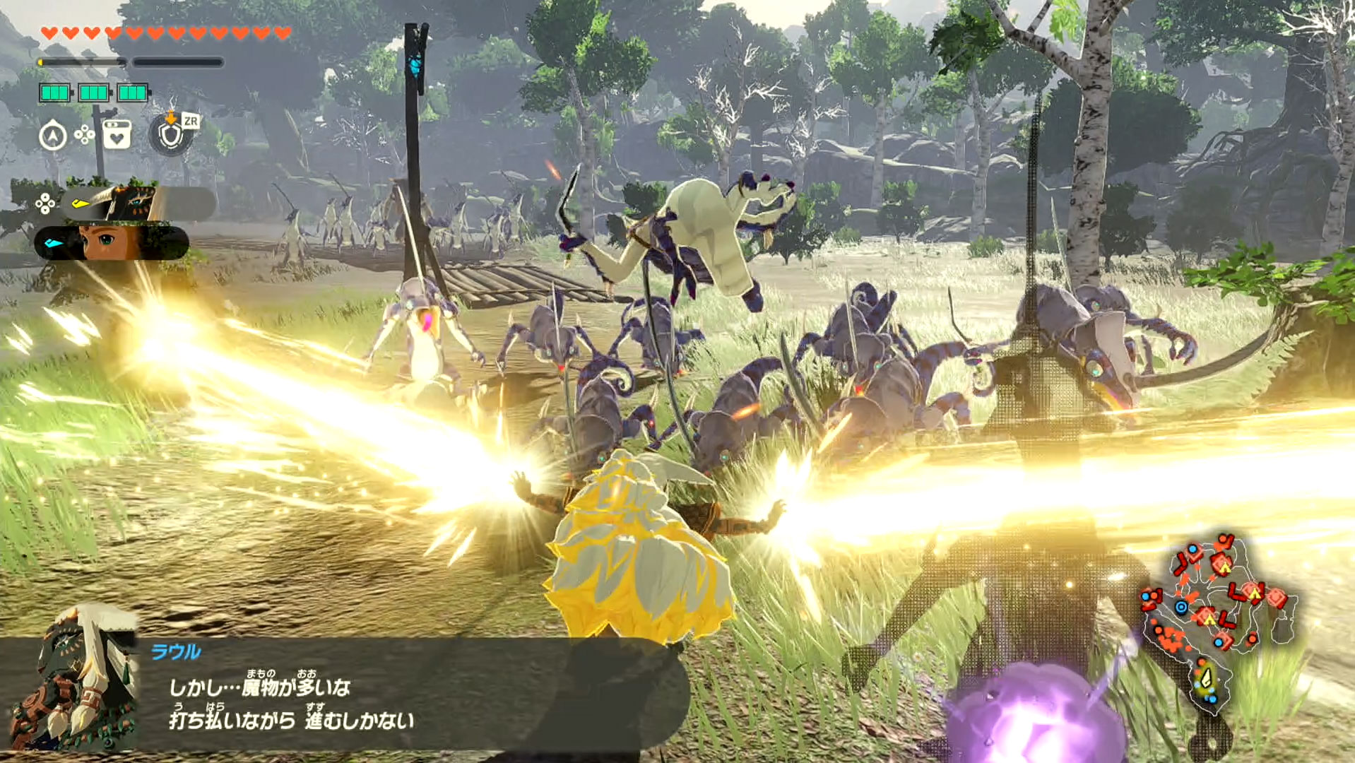 ハイラル王国初代国王らしく、ラウルはパワルフなプレイが特徴的だ