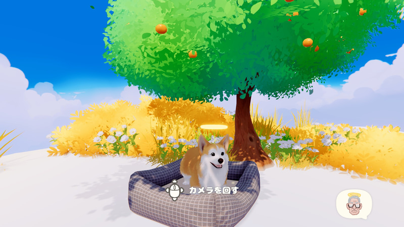 雲の上にある犬の天国