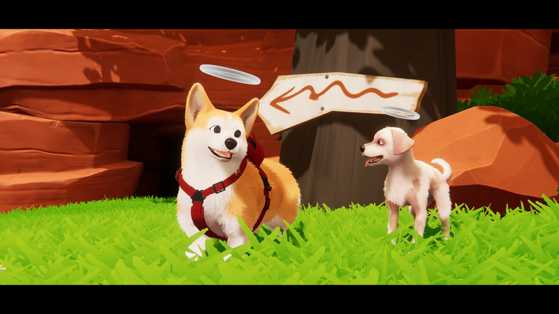 お互いに助け合う犬たち