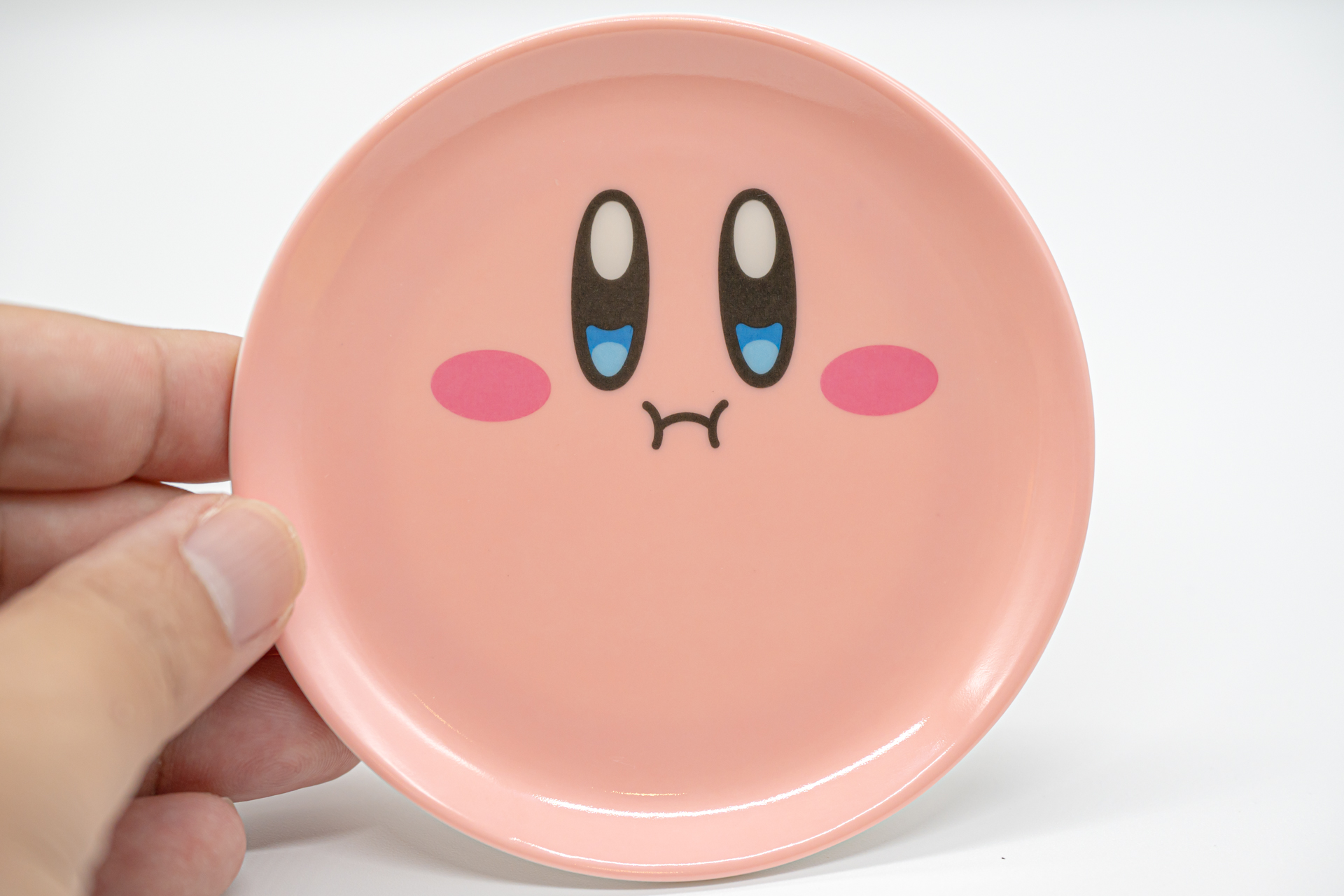 手に持ってみるとサイズ感がわかりやすいかと思う