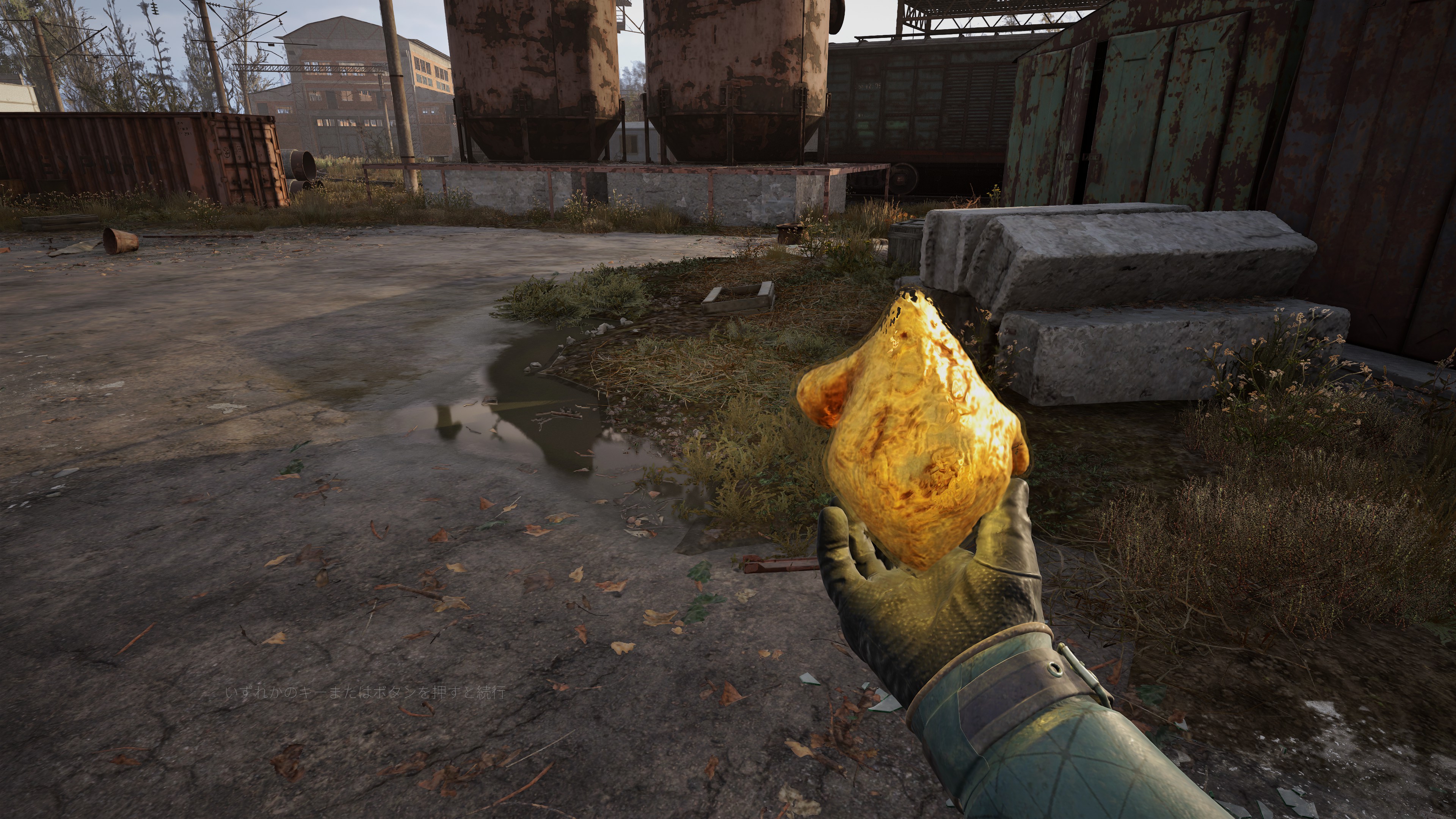 酸の地帯、電気地帯など発見できるアノマリーは発生場所によるカテゴリーと、レア度による種類がある。レアなアーティファクトは効果も高く、高価で取引される