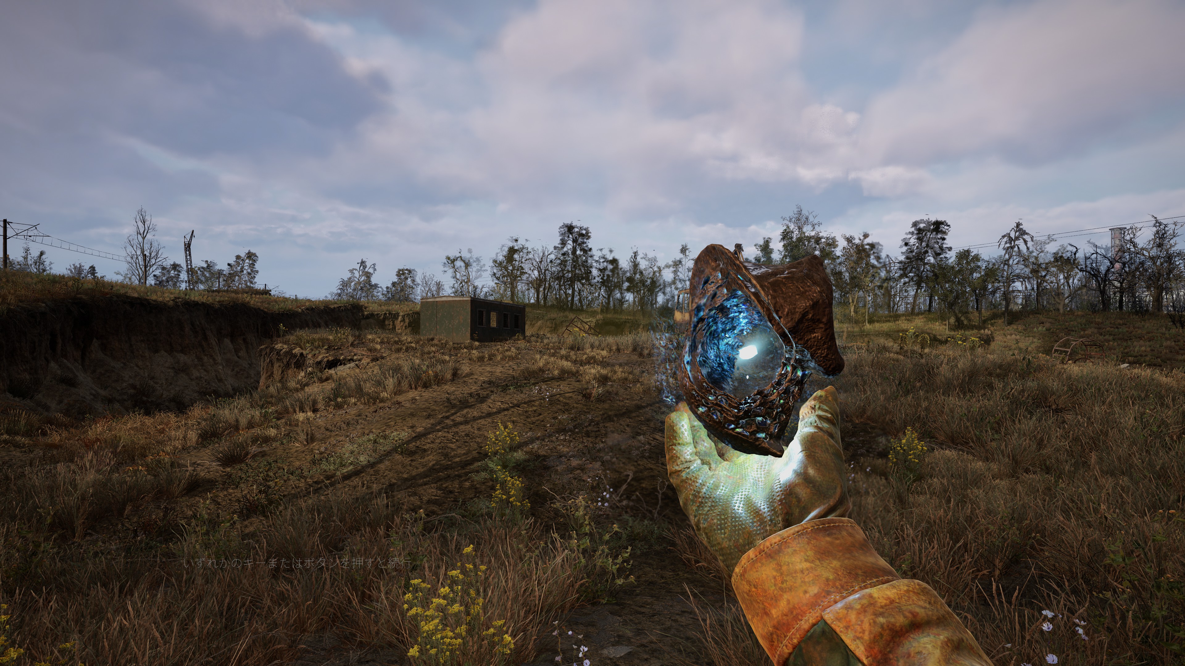 酸の地帯、電気地帯など発見できるアノマリーは発生場所によるカテゴリーと、レア度による種類がある。レアなアーティファクトは効果も高く、高価で取引される