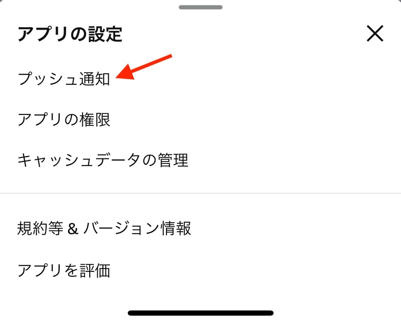 「プッシュ通知」をタップ
