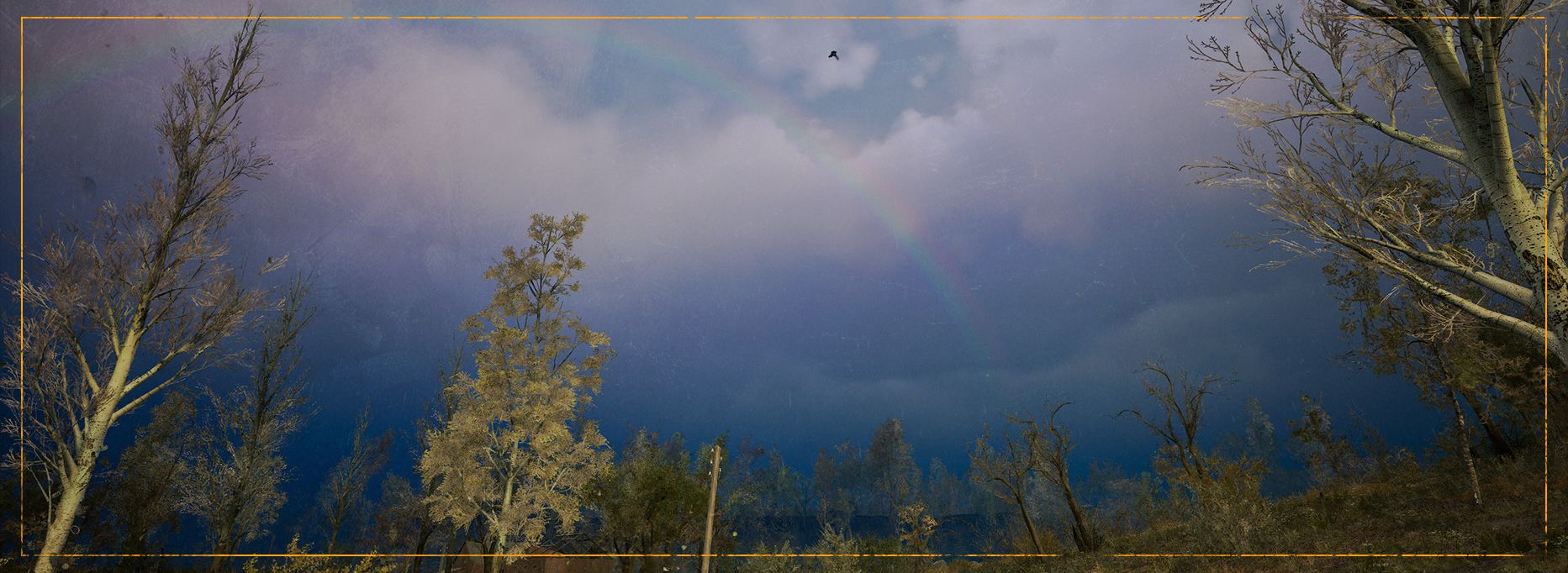 新しい天候「小雨」