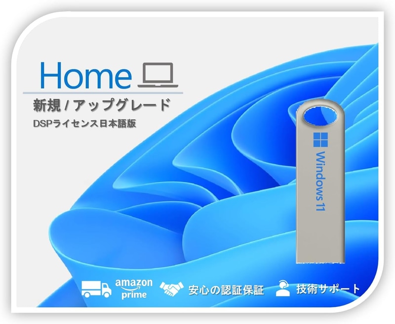 Windows11 Home DSPライセンス日本語版(インストールUSB付)