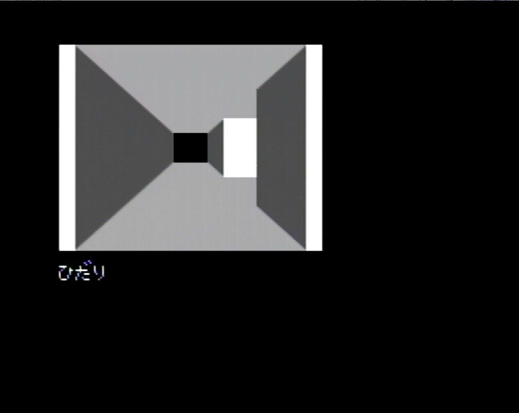 耕造の屋敷にある地下通路。3Dマップ初体験の筆者には、現在地点を把握するのすら難しかった