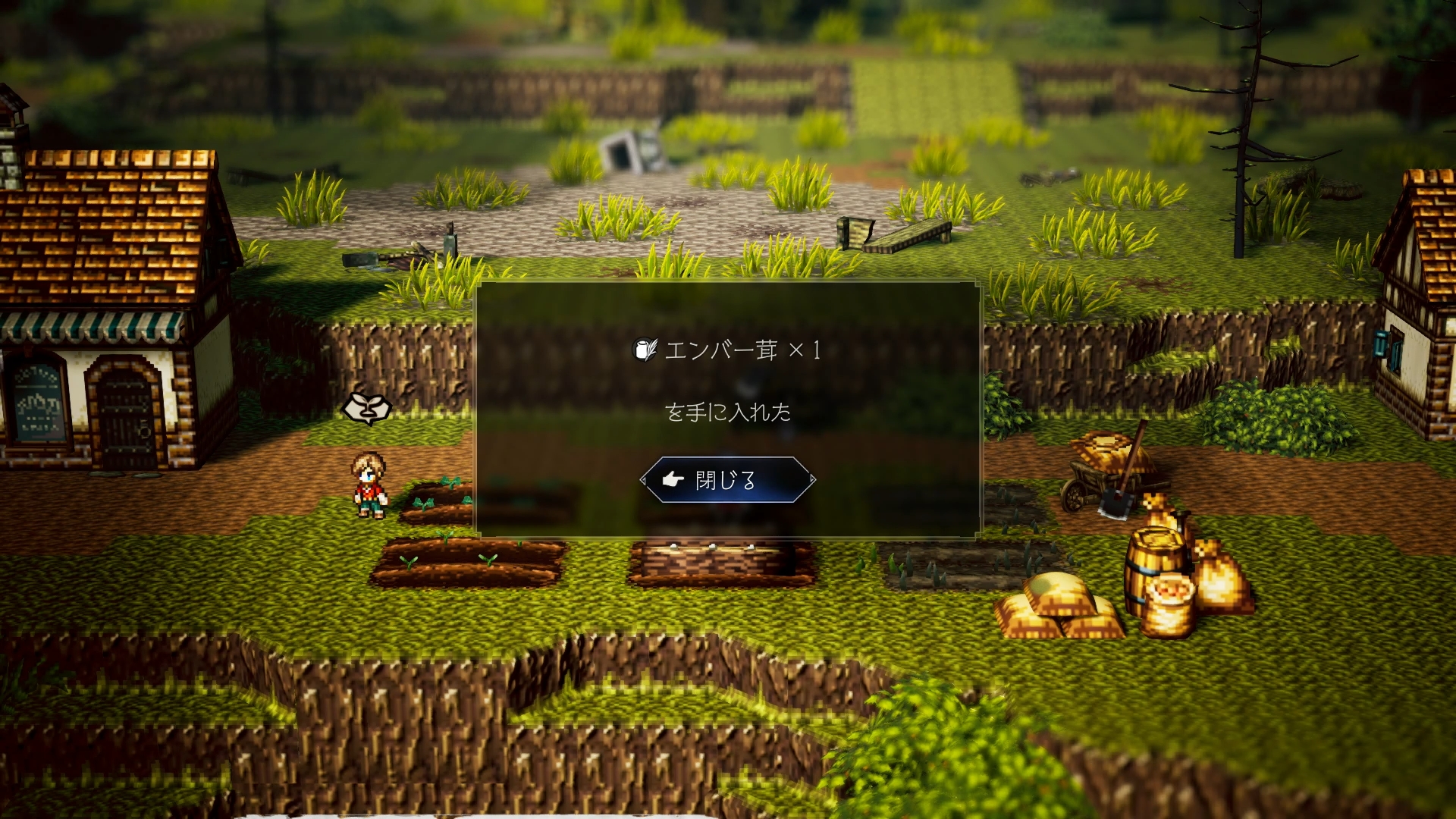 畑や家畜からは各種材料が採れるので、それを利用して調理を行えば戦闘中にさまざまな効果を発揮する料理を携帯できる。レシピは、タウンレベルがアップしたタイミングで増えるほか、フィールドコマンドでも追加することが可能だ