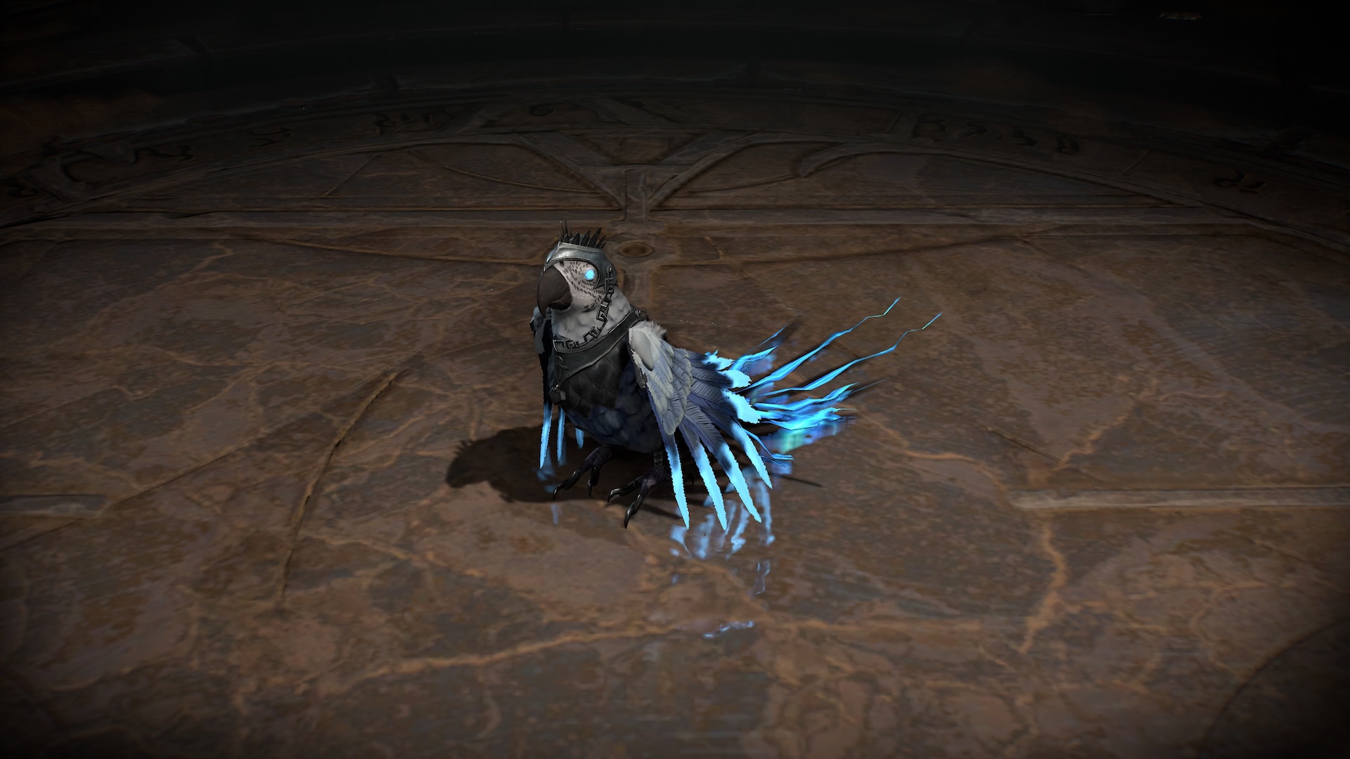 ランク5のキャップストーン・ダンジョンを完了し、ランク6を解放すると、ペット「アレフタ」が報酬として手に入る