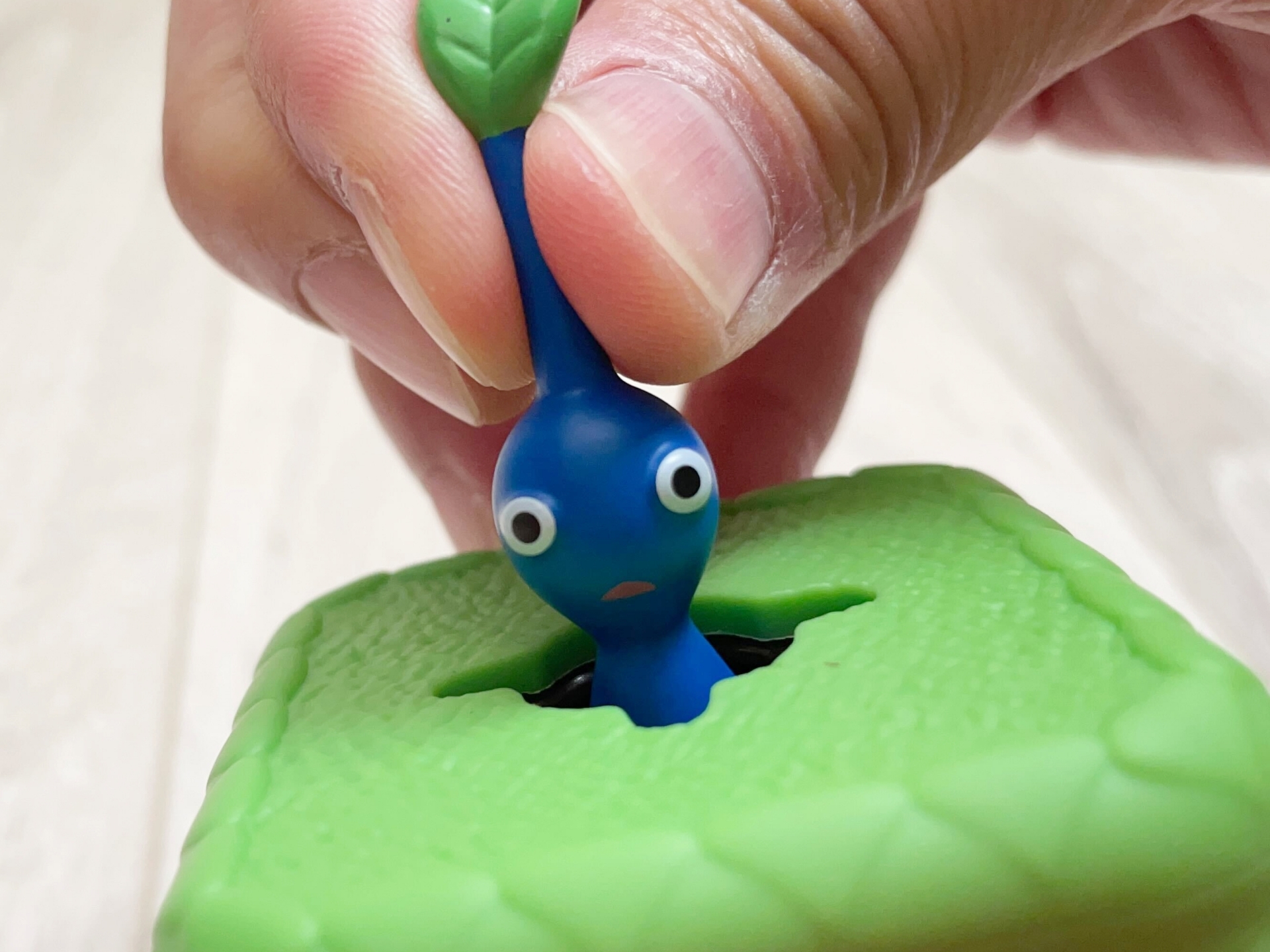 葉っぱ部分を引っ張れば、ぽんっと抜けてピクミンが登場