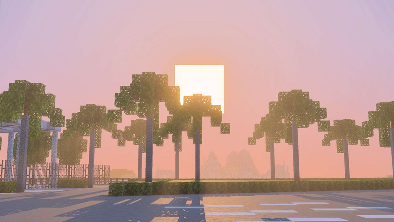 国情緒あふれるヤシの木と夕焼けのコントラストが美しい夕暮れ時