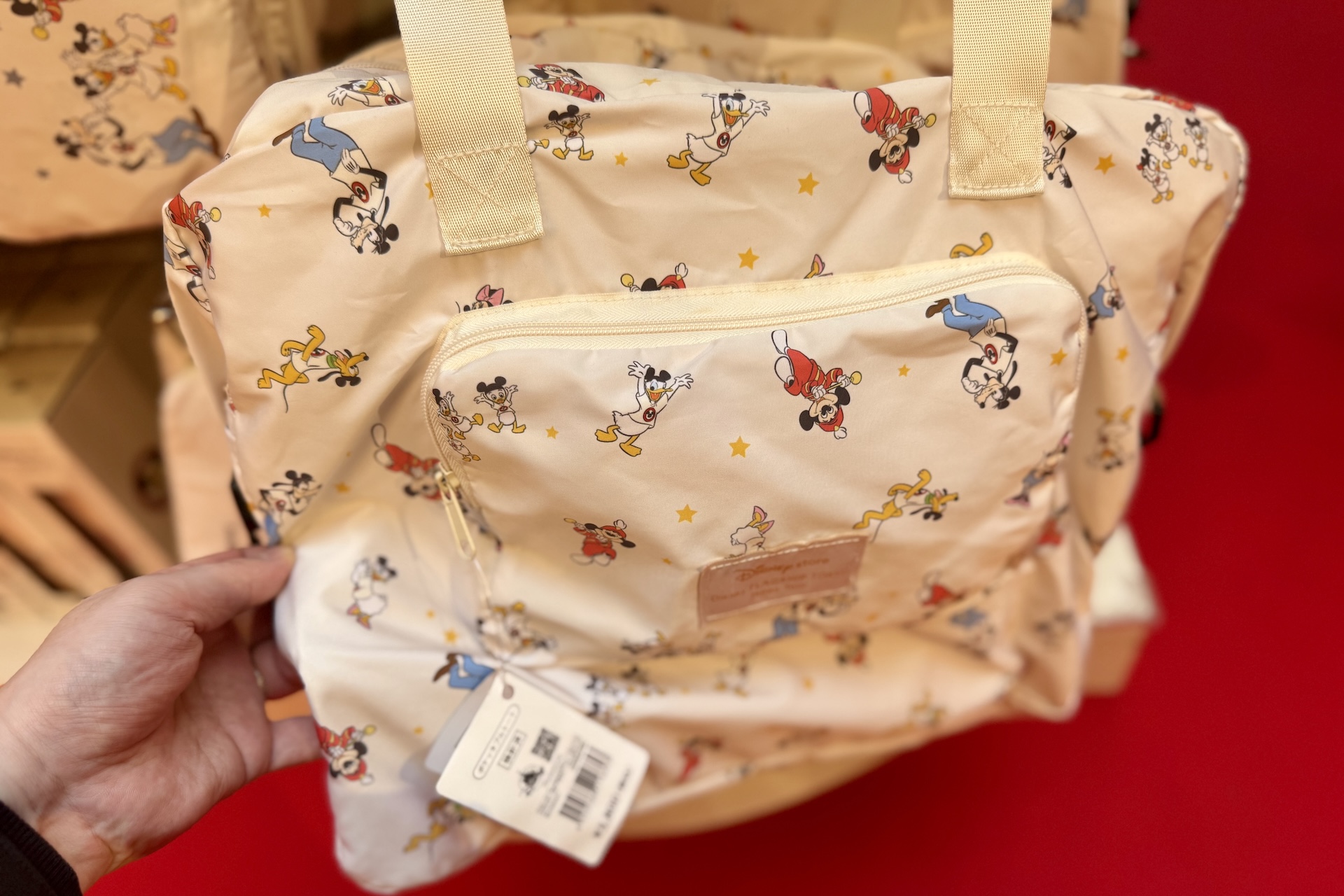 ポケッタブルトートバッグ 3,800円