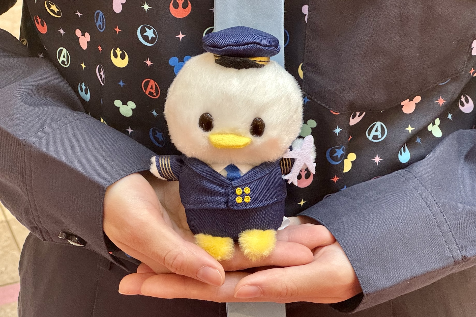 うるぽちゃちゃん ぬいぐるみ 1,800円 ※羽田空港の各ターミナル内のディズニーストア自動販売機にて販売