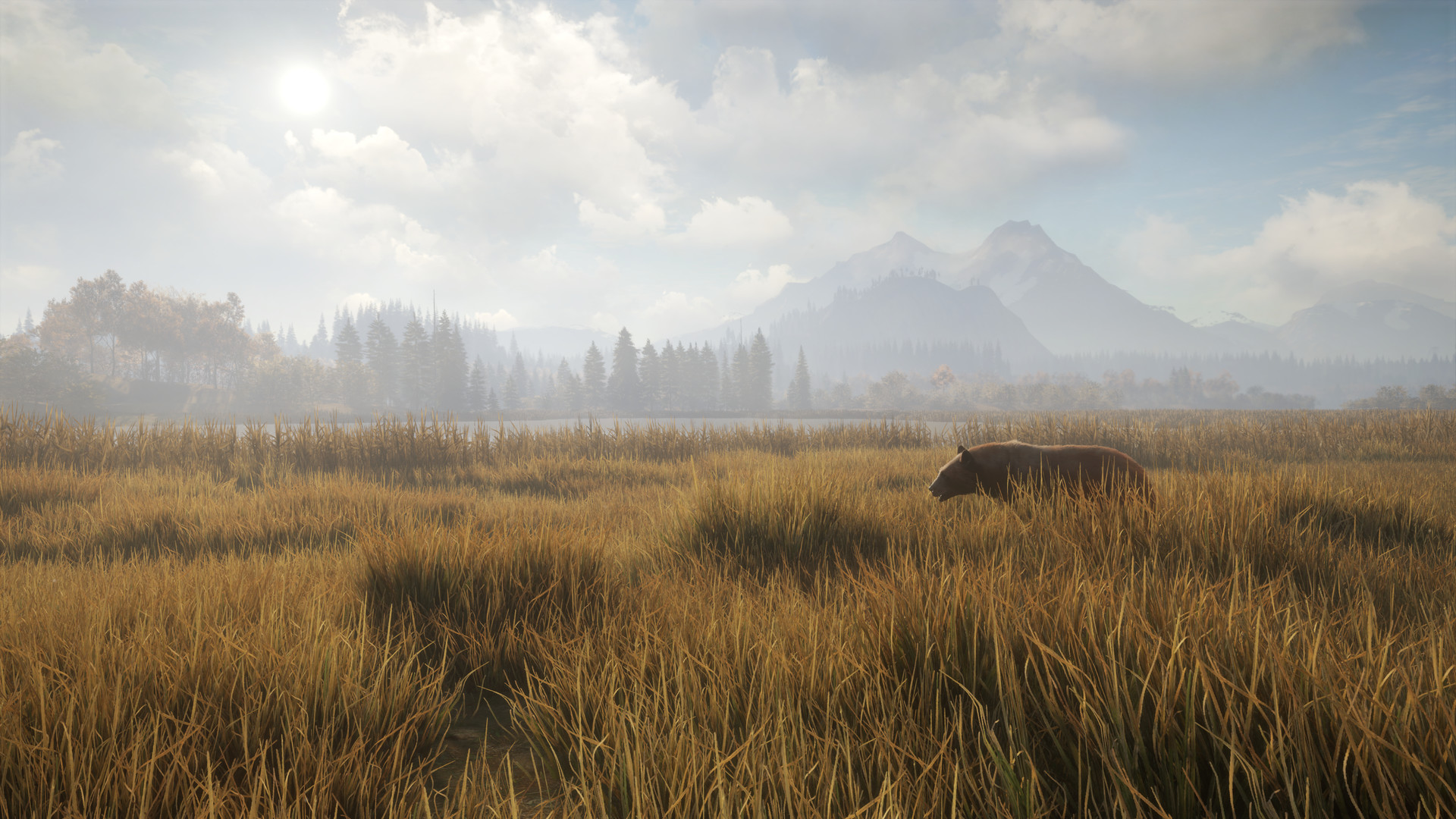 「theHunter: Call of the Wild」価格：314円（65%オフ）