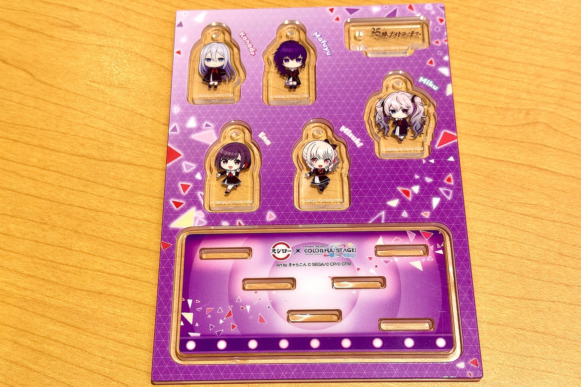 中身はプラスチックの台紙にはめ込まれた状態となっている