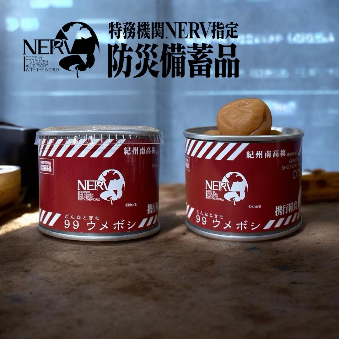 右側の写真はイメージ