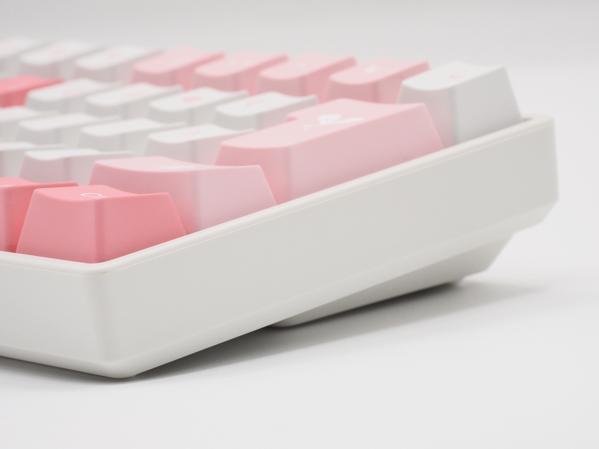 ケースはホワイトを採用