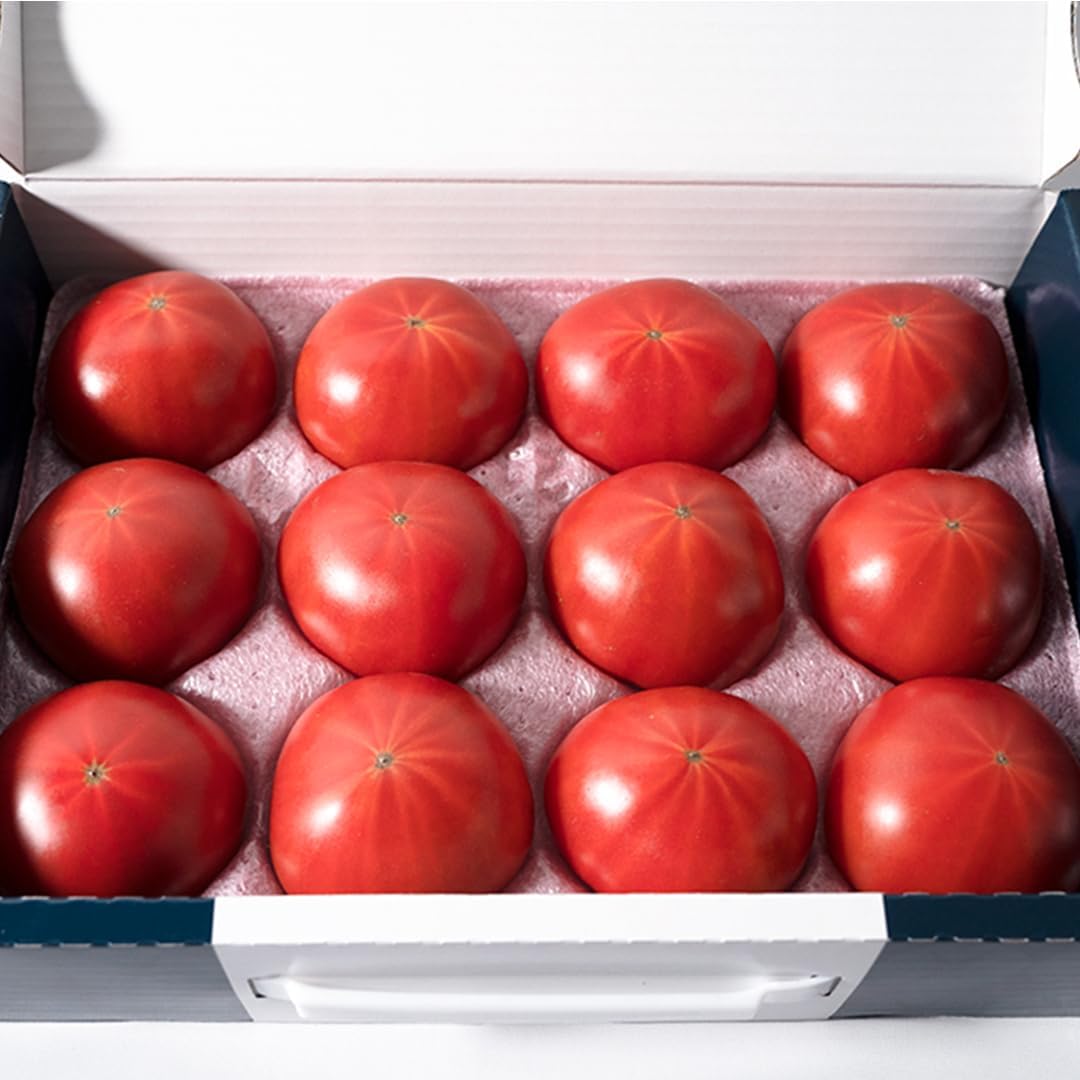 【2026年収穫分 先行予約】糖度9度以上 スーパーフルーツトマト てるて姫 小箱 約800g