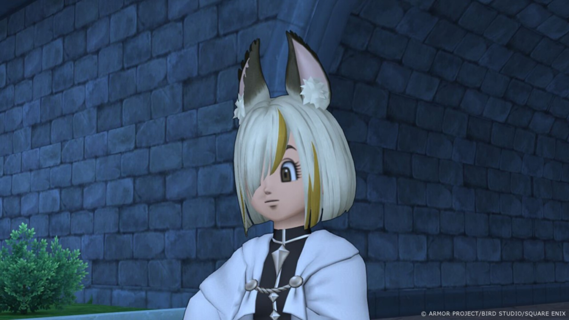 フォクシーウィッグ