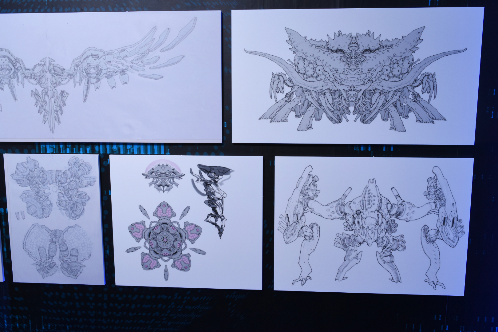 点数はそれほど多くはないが、あまり見ることができないラプチャーの設定資料も