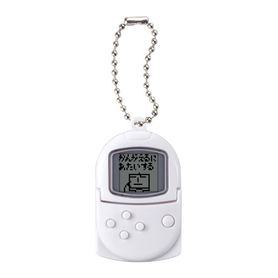 スズキ（ホワイト）