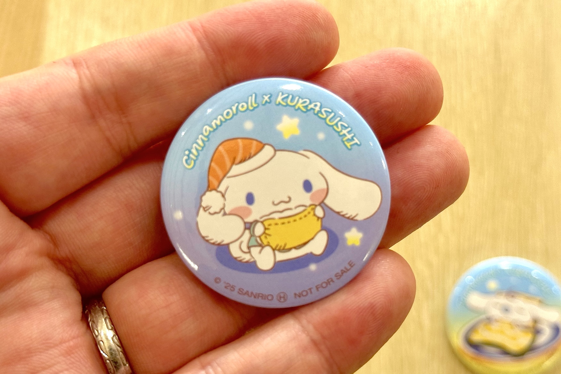 手のひらに乗せてみるとサイズ感がわかりやすいかと思う